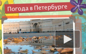 Выходные в Петербурге порадуют жителей погодой