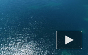 Крупнейшая пресноводная рыба полностью исчезла 