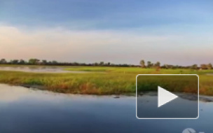 В Австралии рухнул вертолет с людьми