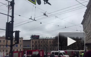 В Петербурге опознали трех погибших, в том числе "смертника"