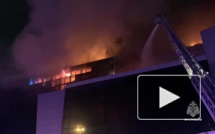 В МЧС рассказали, сколько человек тушит пожар в "Крокус Сити Холле"