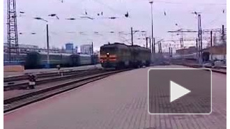 В Воронеже проводится проверка по факту столкновения поездов