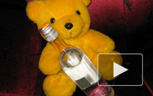 В Петербурге у интернет-зависимых детей нашли симптомы алкоголизма