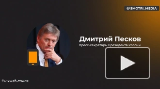 Песков рассказал о теме переговоров Путина и делегации из КНДР