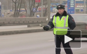 На Пулковском шоссе маршрутка снесла дерево