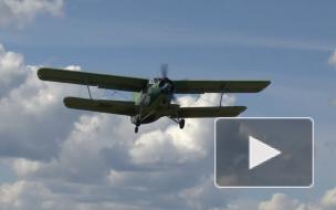 В Бурятии в поисках Ан-2 обследовали около тысячи квадратных километров