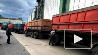 В Омской области полицией пресечено мошенничество со 132 тоннами ввозимой на элеватор пшеницы