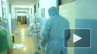 Глава МИД Сербии поблагодарил Россию за помощь в борьбе с коронавирусом