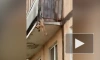 В Ярославской области проверят инцидент со свисающей с балкона собакой