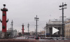 Активисты пересчитали пылинки: в Петербурге запыленность превышает норму в 25 раз
