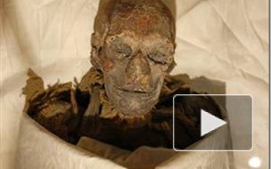Загадочную мумию нашли под горой мусора в квартире на Васильевском острове