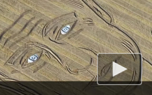 Видео: Огромный портрет Путина появился на поле в Италии