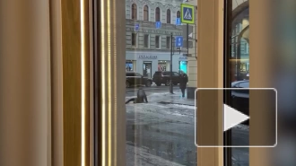 Падение людей на тротуаре Большого проспекта П.С. попало на видео