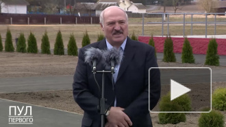 Лукашенко перенес послание народу из-за "коронапсихоза"