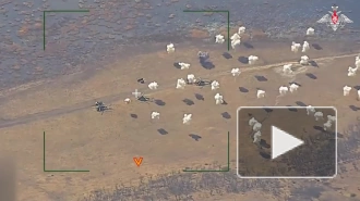 Минобороны показало кадры уничтожения вертолетов ВСУ на площадке подскока в ДНР