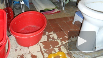 Богомольная москвичка морила голодом в туалете приемную дочь-инвалида