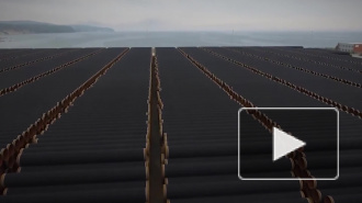 Санкции против двух российских газопроводов вошли в военный бюджет США