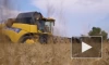 В Запорожской области планируют собрать осенью еще 1 млн тонн зерна