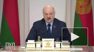 Лукашенко пообещал Евросоюзу жесткий ответ на санкции