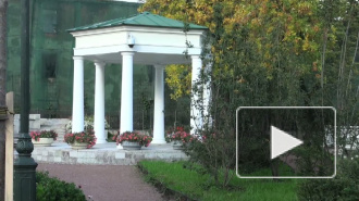 Спасёт ли плата за вход сады и скверы Петербурга?