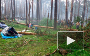 Ураган в Новосибирской области унес жизни сестер-двойняшек: на палатку упало дерево