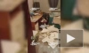 В доме на северо-западе Москвы обрушилась часть потолка