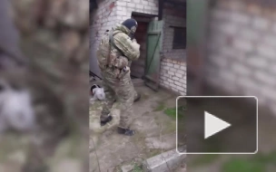 Спецслужбы обнаружили схрон диверсантов в пригороде Луганска