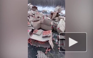 Грузовик с яйцами разбился в Амурской области