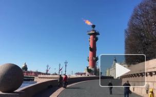 В День Победы в Петербурге зажгли Ростральные колонны