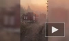 В Тольятти локализовали лесной пожар
