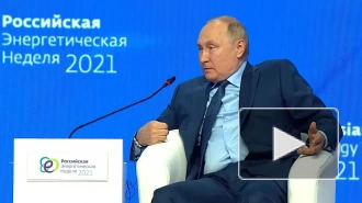 Путин: немецкие компании должны "низко поклониться" экс-канцлеру Шрёдеру за низкие цены на газ из РФ 