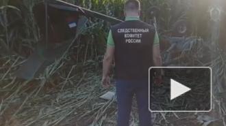 В Курской области при крушении легкомоторного самолёта погиб пилот