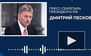 Песков раскрыл формат участия России в саммите БРИКС