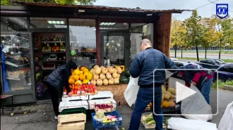 За две недели ККИ Петербурга освободил 17 участков от незаконных торговых объектов