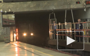 Петербуржцы напугались из-за горящей люстры на "Новочеркасской"