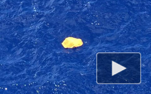 Новые подробности крушения А320: подтверждено нахождение обломков самолета