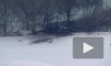 Видео: В Миннесоте разбился военный вертолет "Черный ястреб"