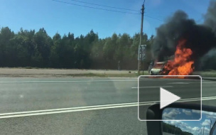 ДТП в Петербурге за последние сутки, 15 августа: фото и видео