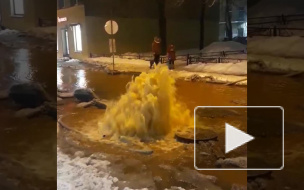 Видео: на Ропшинской улице прорвало трубу 