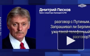 Берлин не запрашивал телефонный разговор у Москвы, заявили в Кремле