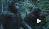 "Планета обезьян: Революция" (2014): фильм режиссера Мэтта Ривза взял 346 млн рублей