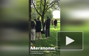 Стали известны подробности задержания 28 студентов на уличной выставке в Петербурге
