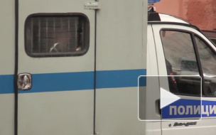 В Петербурге задержан приезжий из Красноярска, который в Пулково украл пакет мигранта из Таджикистана