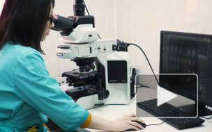 В Петербурге детей переведут на электронные медицинские карты