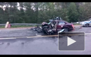 Полиция открыла уголовное дело по факту трагической гибели зампреда ЗакСа в ДТП