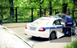 Новости часа: 29 сентября, 12.00