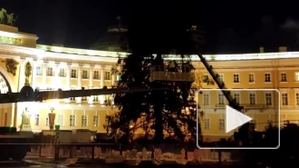 Видео: как демонтировали елку на Дворцовой площади
