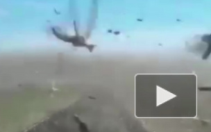 Жуткие кадры из Дагестана: Очевидец снял полчища саранчи