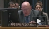 Небензя заявил, что Россия сомневается в возможности посредничества ООН по Украине