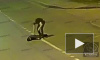 В Красном Селе жестоко избили и ограбили мужчину (видео)